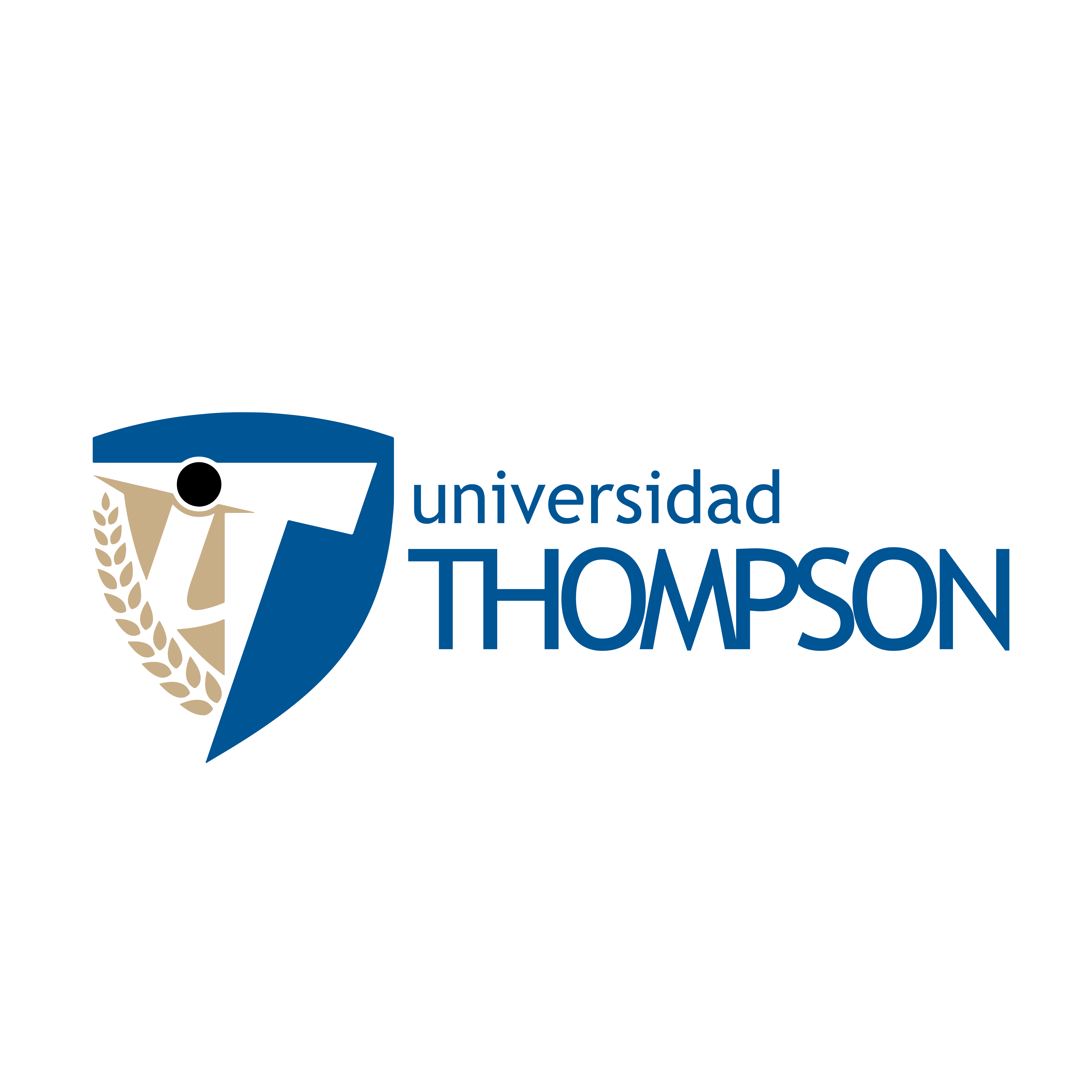 Masterclass di Specializzazione in Massaggio Neuroflow dal 27 al 30 Ottobre 2025